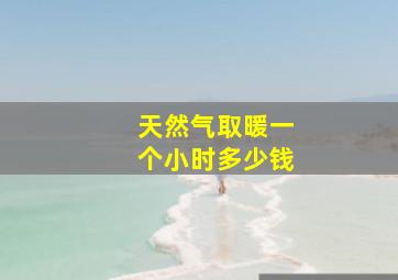 天然气取暖一个小时多少钱