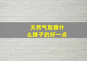 天然气取暖什么牌子的好一点