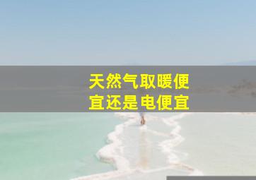 天然气取暖便宜还是电便宜