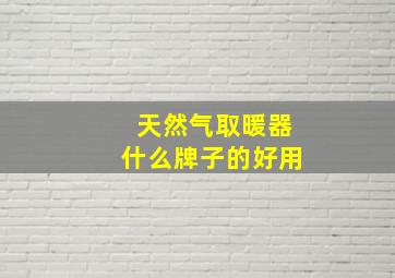 天然气取暖器什么牌子的好用