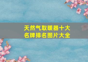 天然气取暖器十大名牌排名图片大全