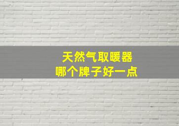 天然气取暖器哪个牌子好一点