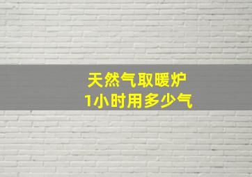 天然气取暖炉1小时用多少气