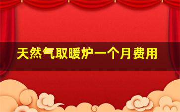 天然气取暖炉一个月费用