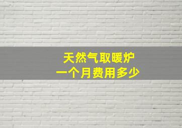 天然气取暖炉一个月费用多少