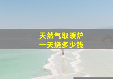 天然气取暖炉一天烧多少钱