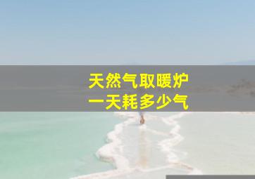 天然气取暖炉一天耗多少气