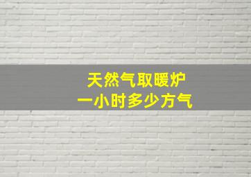 天然气取暖炉一小时多少方气