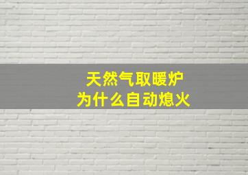 天然气取暖炉为什么自动熄火