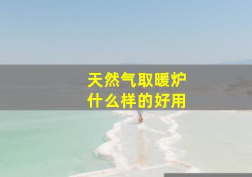 天然气取暖炉什么样的好用