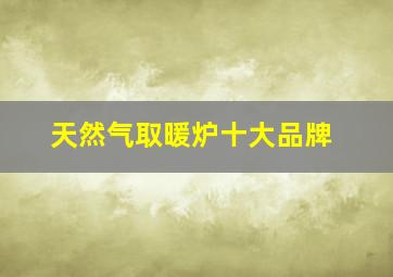 天然气取暖炉十大品牌