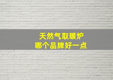 天然气取暖炉哪个品牌好一点