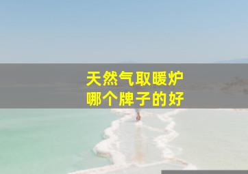 天然气取暖炉哪个牌子的好