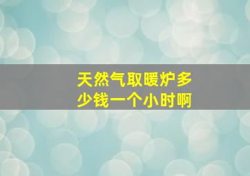 天然气取暖炉多少钱一个小时啊