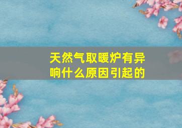 天然气取暖炉有异响什么原因引起的