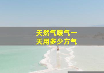 天然气暖气一天用多少方气