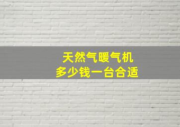 天然气暖气机多少钱一台合适