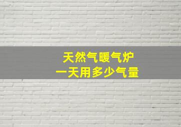 天然气暖气炉一天用多少气量