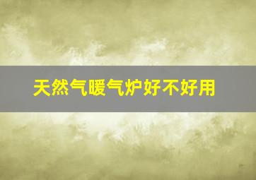 天然气暖气炉好不好用