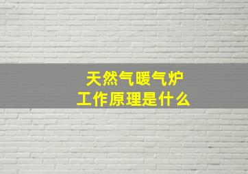 天然气暖气炉工作原理是什么