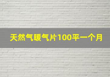 天然气暖气片100平一个月