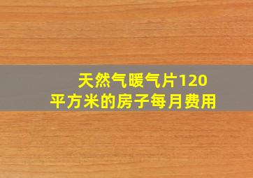 天然气暖气片120平方米的房子每月费用