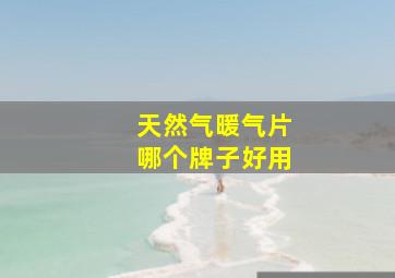 天然气暖气片哪个牌子好用