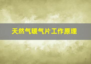 天然气暖气片工作原理