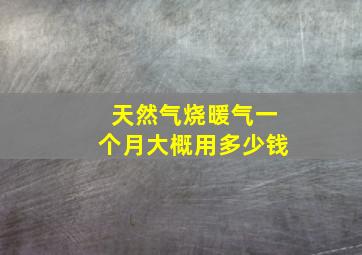 天然气烧暖气一个月大概用多少钱