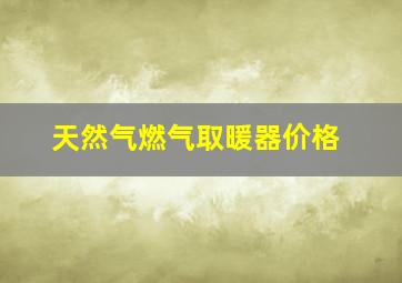 天然气燃气取暖器价格