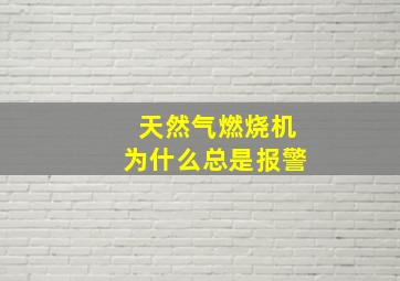 天然气燃烧机为什么总是报警