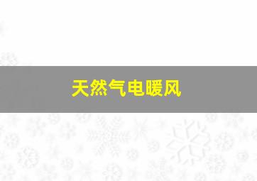 天然气电暖风