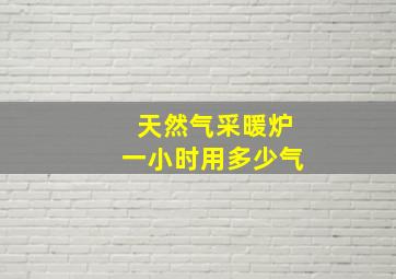 天然气采暖炉一小时用多少气