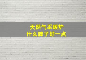 天然气采暖炉什么牌子好一点