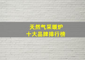 天然气采暖炉十大品牌排行榜