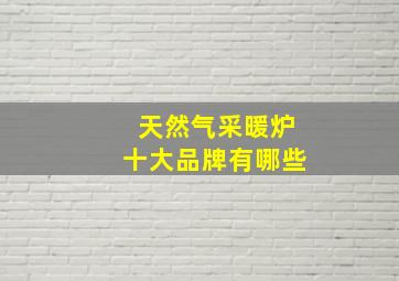 天然气采暖炉十大品牌有哪些