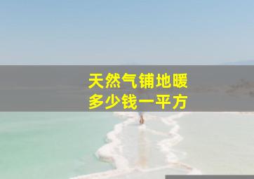 天然气铺地暖多少钱一平方