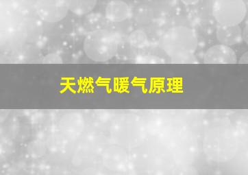 天燃气暖气原理