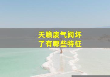 天籁废气阀坏了有哪些特征