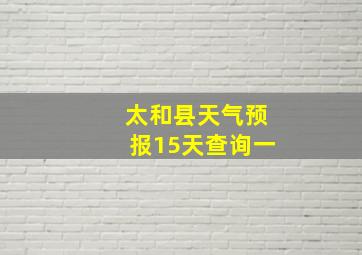 太和县天气预报15天查询一