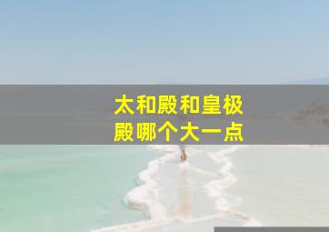 太和殿和皇极殿哪个大一点