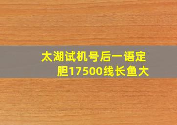 太湖试机号后一语定胆17500线长鱼大