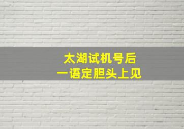 太湖试机号后一语定胆头上见