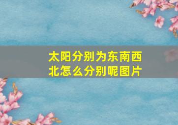 太阳分别为东南西北怎么分别呢图片