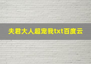 夫君大人超宠我txt百度云