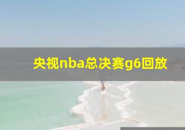 央视nba总决赛g6回放