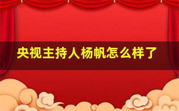 央视主持人杨帆怎么样了