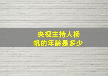 央视主持人杨帆的年龄是多少