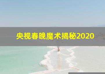 央视春晚魔术揭秘2020