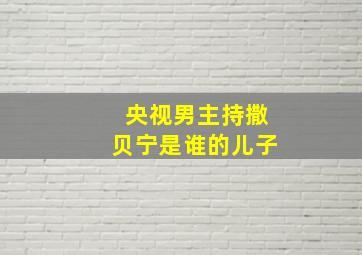 央视男主持撒贝宁是谁的儿子